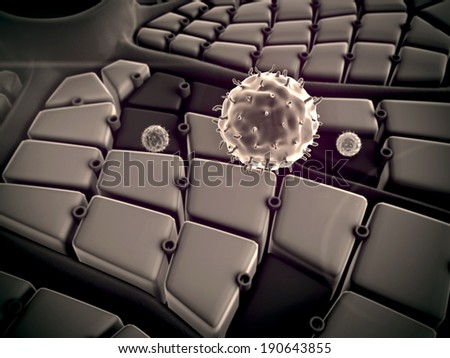 structure of the liver, virus attack the liver, Coronavirus atack the lungs cell, liver surface,  liver cells, liver disease,  liver structure, 