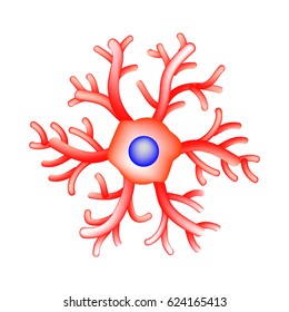 The structure of microglia. Neuron. Nerve cell. Infographics. illustration on isolated background