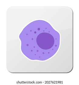 The Structure Of The Monocyte. Monocytes Blood Cell. Macrophage. White Blood Cell Immunity. Leukocyte. Infographics. Illustration On Isolated Background. 2d Graphic Illustration