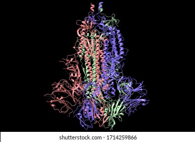 Structure Of The SARS-CoV-2 Spike Glycoprotein, 3D Cartoon Model, Black Background