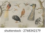 Study of Birds and Monkey (1660 or 1670) by Anonymous Artist and Jan van Kessel the Elder. Vintage painting and art illustration.