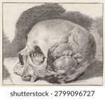 Study of a Skull, Facing Left (c. 1654 - c. 1658) by Cornelis Visscher II. Vintage art illustration.