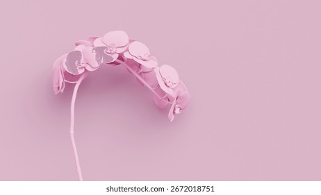 Stunning pink matte orchids elegantly arranged against a soft pastel background for a serene aesthetic