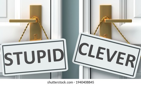 Stupid Or Clever As A Choice In Life - Pictured As Words Stupid, Clever On Doors To Show That Stupid And Clever Are Different Options To Choose From, 3d Illustration