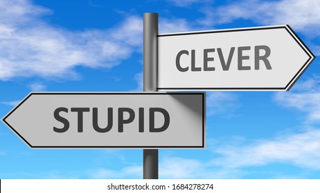 Stupid and clever as a choice - pictured as words Stupid, clever on road signs to show that when a person makes decision he can choose either Stupid or clever as an option, 3d illustration