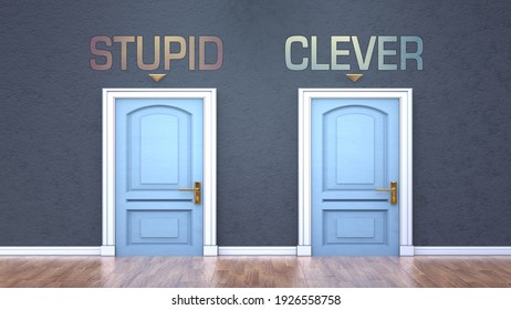 Stupid And Clever As A Choice - Pictured As Words Stupid, Clever On Doors To Show That Stupid And Clever Are Opposite Options While Making Decision, 3d Illustration