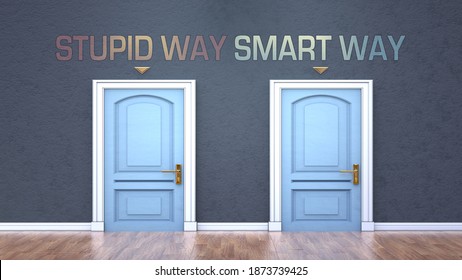 Stupid Way And Smart Way As A Choice - Pictured As Words Stupid Way, Smart Way On Doors To Show That These Are Opposite Options While Making Decision, 3d Illustration