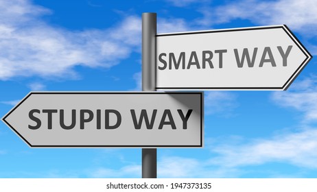 Stupid Way And Smart Way As A Choice, Pictured As Words Stupid Way, Smart Way On Road Signs To Show That When A Person Makes Decision He Can Choose Either Option, 3d Illustration