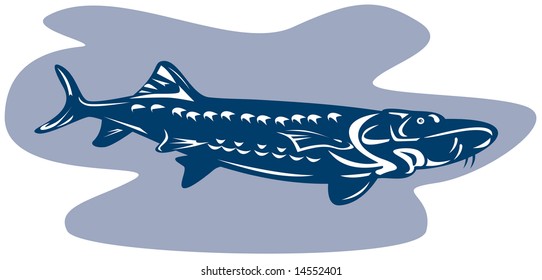 Sturgeon