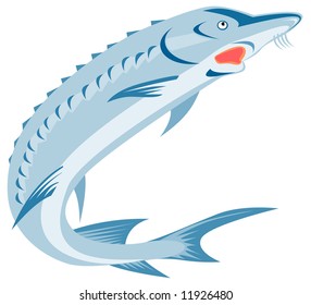 Sturgeon Fish