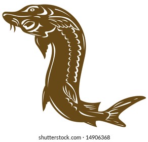 Sturgeon Fish