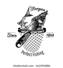 Sturgeon Fish Head Up From Landing Net In Engraving Style. Label For Fishing Or Fishing Shop Isolated On White