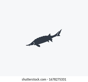 Sturgeon icon isolated on clean background. Sturgeon icon concept drawing icon in modern style. illustration for your web mobile logo app UI design.