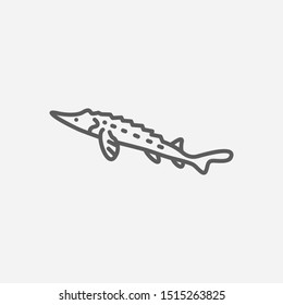 Sturgeon icon line symbol. Isolated illustration of icon sign concept for your web site mobile app logo UI design.