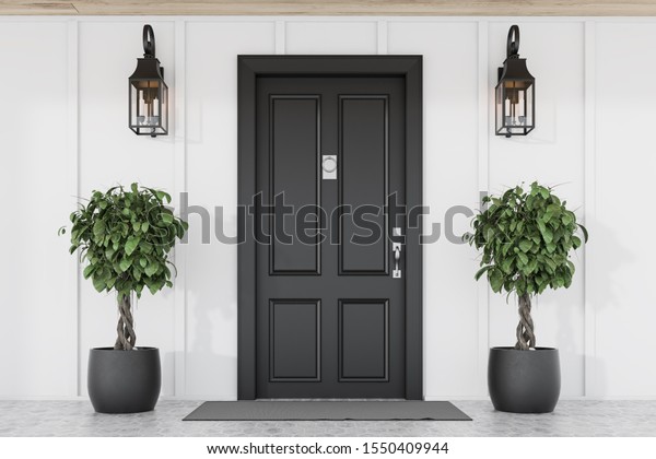 Stylish black front\
door of modern house with white walls, door mat, two trees in pots\
and lamps. 3d\
rendering