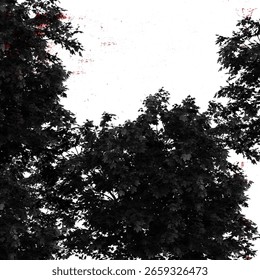Stylized forest composition over dynamic paint textures, suitable for editorial use