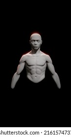 Stylized Male Torso Anatomy. 3D Illustration Front