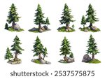 Stylized set with grass, rocks, fir-trees, spruce. Forest elements for landscape. Isolated on white background.