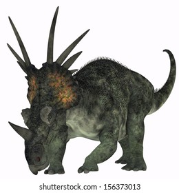 dinosaur with a frill on its head