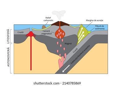 Subduction Of Oceanic Crust. Subductia Crustei Oceanice. Schema Geografie