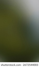 Subtle Gradient of Green and Grey Textured Background Calm and Unassuming Serenity in Motion Simple Colors Smooth Transition Dark to Light Understated Elegance Minimalist Design