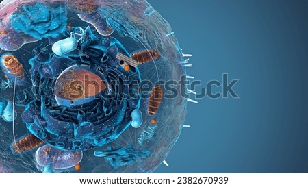 Subunits inside eukaryotic cell, nucleus and organelles and plasma membrane - 3d illustration