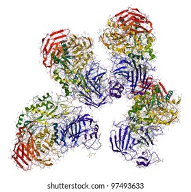 Sucrase-isomaltase Enzyme Structure. It Is The Enzyme Involved In Sugar Digestion