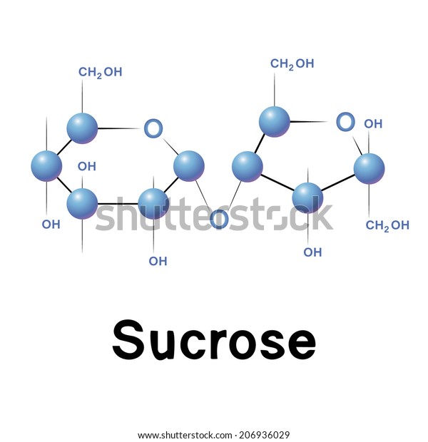 Sucrose molecule structure, biochemistry,\
chemistry, raster\
illustration.