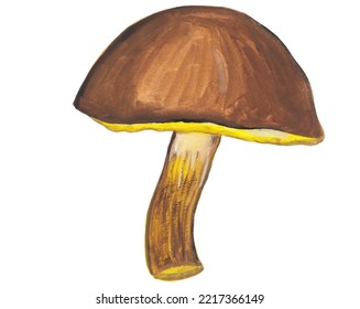 Suillus Mushroom Hand Painted Gouache Illustration. Autumn  Clipart. Fall Seasonal Decor. Food, Recipe, Cooking Book Graphic Elements