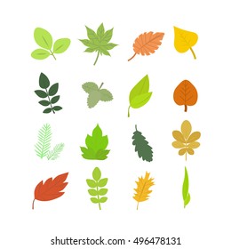 Summer and Autumn Leaves Set. Flat Design Style. illustration