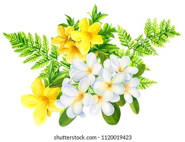 summer bouquet of exotic flowers on an isolated white background, yellow tropical plumeria flowers, green fern leaves, watercolor illustration, hand drawing, postcard