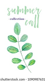 Summer call collection. Isolated element in white background. Green plant. Watercolor leaves. 