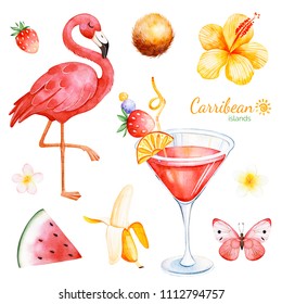 Summer collection with exotic fruits,flamingo,hibiscus flower,tropical butterfly,plumeria flower,cocktail.Perfect for wedding,invitations,greeting card,quotes,pattern,logos,wedding,party etc