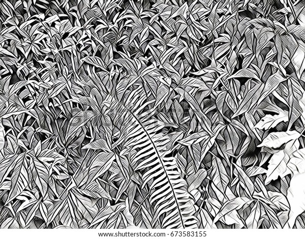 Summer Foliage Leaf Coloring Page Tiny Stock Illustration 673583155