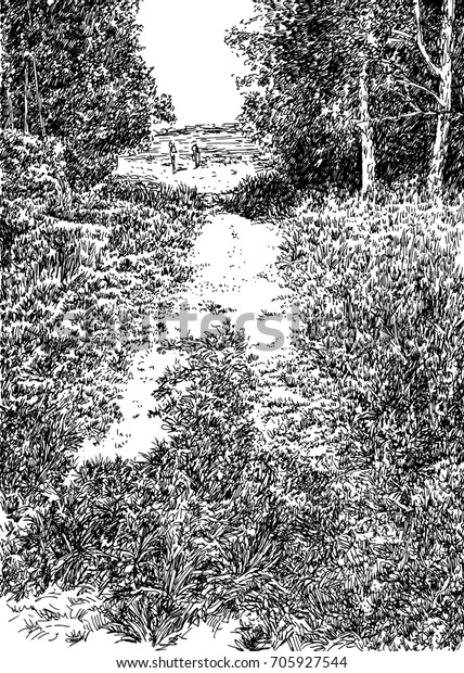 Summer Forest Road Pen Ink Black Stock Illustration