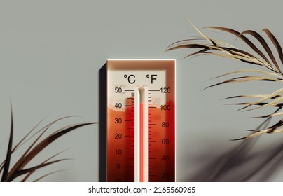 Summer heat. Thermometer showing high temperature with palm leaves decoration 3D Rendering, 3D Illustration
