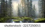 Summer landscape of a coniferous forest near the water