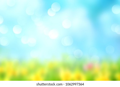 Summer Natural Blurred Background.Green Grass Blue Sly Backdrop.