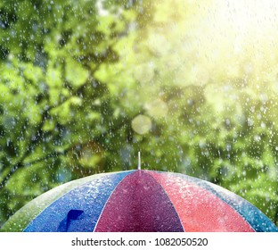 Summer Rain On Colorful Umbrella 3D Rendering, 3D Illustration