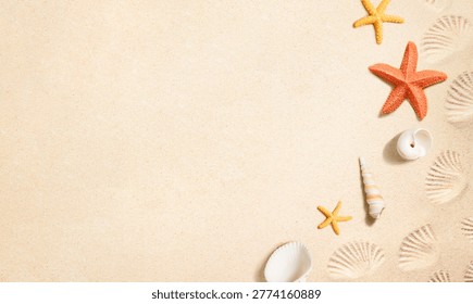 summer sand background with seashells and starfish