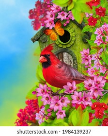 Summer Spring Colorful Bright Background Bird Stock Illustration ...