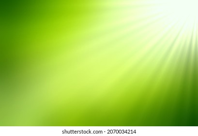 Summer sun light green empty blur background. Rays pattern.