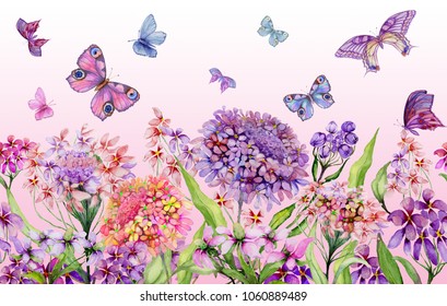 Summer wide banner. Beautiful vivid iberis flowers and colorful butterflies on pink background. Horizontal template. Seamless panoramic floral pattern. Watercolor painting. Hand painted illustration.