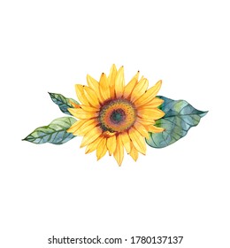 Sunflower Flower Illustration Drawing Isolate On Stock Illustration ...