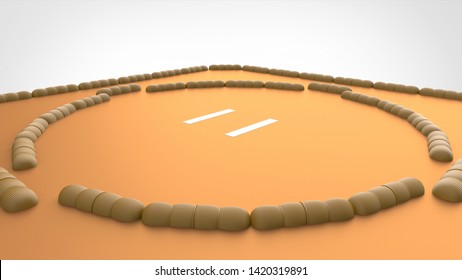 Sumo Ring Angled Closeup 3d Rendering