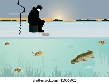 The Sun On The Horizon Of The Forest Stands Over The Snow-covered Pond. A Man Catches A Fish Winter Fishing Rod In The Hole. Swim Under The Ice Fish.