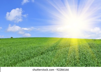 Sun Shining In Blue Sky Over Green Field