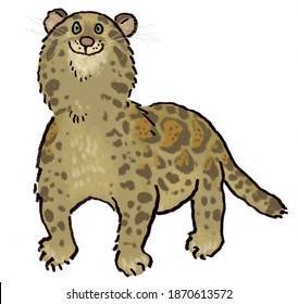 Sundra Clouded Leopard Cub Big Cat Breed Illustration