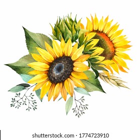 Sunflower bouquet. Yellow flowers. Watercolor clipart.