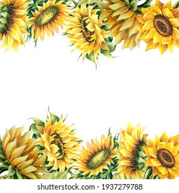 729,518 Sunflower background image Images, Stock Photos & Vectors ...